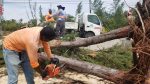 Post-Hurricane Ian clean-up under way