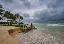 As storms reshape the coastline, how can Cayman protect its beaches?