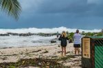 Storms and lack of turtle-friendly lighting take toll on turtles