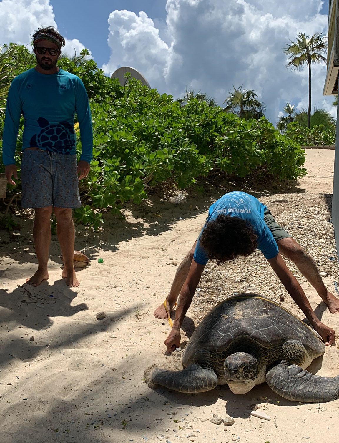 North Side resident teams with DoE in weekend turtle rescue Cayman