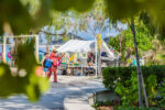 Public Beach vendors can apply for long-awaited permit Previously vendors have set up tents, others have taken over the public cabanas. - Photo: Taneos Ramsay