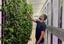 Opinion: Cayman could pay a high price for neglecting its agricultural roots