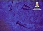 Scalloped hammerhead school spotted in Cayman’s deep waters