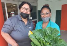 Cayman Community Farm initiative proves to be fruitful