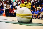 Lifting the weight of bullying