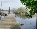Cayman seeks to increase protected land areas