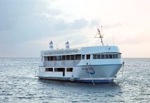 Looking back in time: Cayman Mermaid