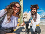 Pirates, pooches and pyrotechnics as festival comes to a close