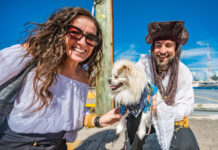 Pirates, pooches and pyrotechnics as festival comes to a close