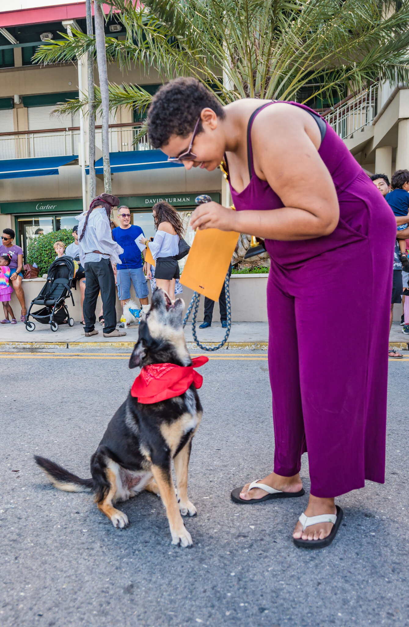 pooch-parade-0013-cayman-compass