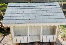 Kids to decide colour scheme of restored miniature Cayman cottages