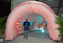 Giant inflatable colon centrepiece of Lions men’s health evening