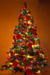 CCMI hopes Festival of Trees will bring Christmas cheer