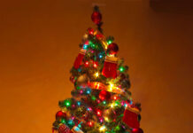 CCMI hopes Festival of Trees will bring Christmas cheer
