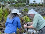 Geology Week rocks on