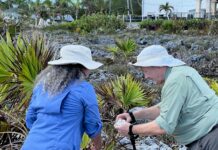 Geology Week rocks on