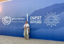 COP 27 Opinion: If we want to see change, we must make it happen