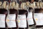 Cayman lifts ‘mad cow’ blood donation ban