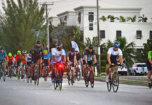 Pete Ribbins Memorial event raises over $6,000 for Jasmine