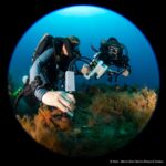 Researchers study climate-change impact on Little Cayman corals