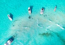 Water sports operator reflects on rescue attempt at Stingray Sandbar