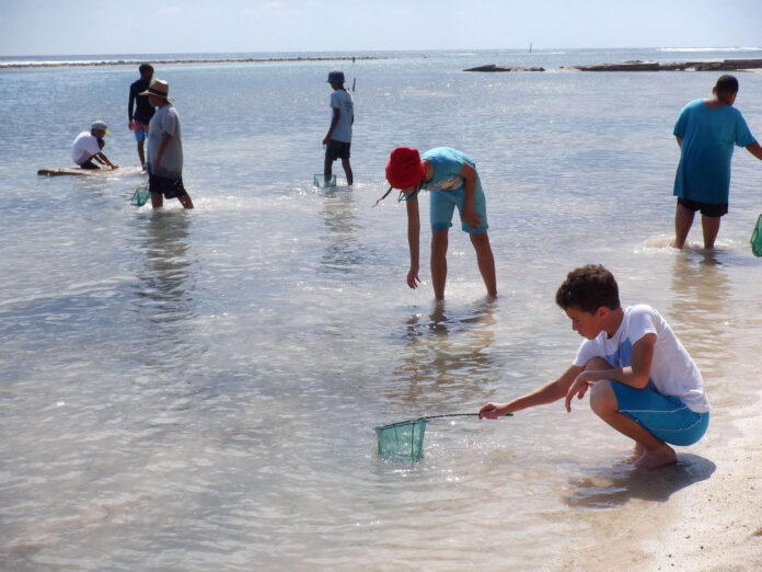 West_End_Primary_seagrass_field_trip