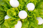 Year in Review: $8 lettuce anyone? 2022 was a year of record inflation