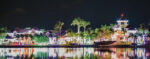 A Cayman Christmas wonderland