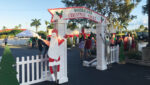 Bringing Christmas trees to Cayman