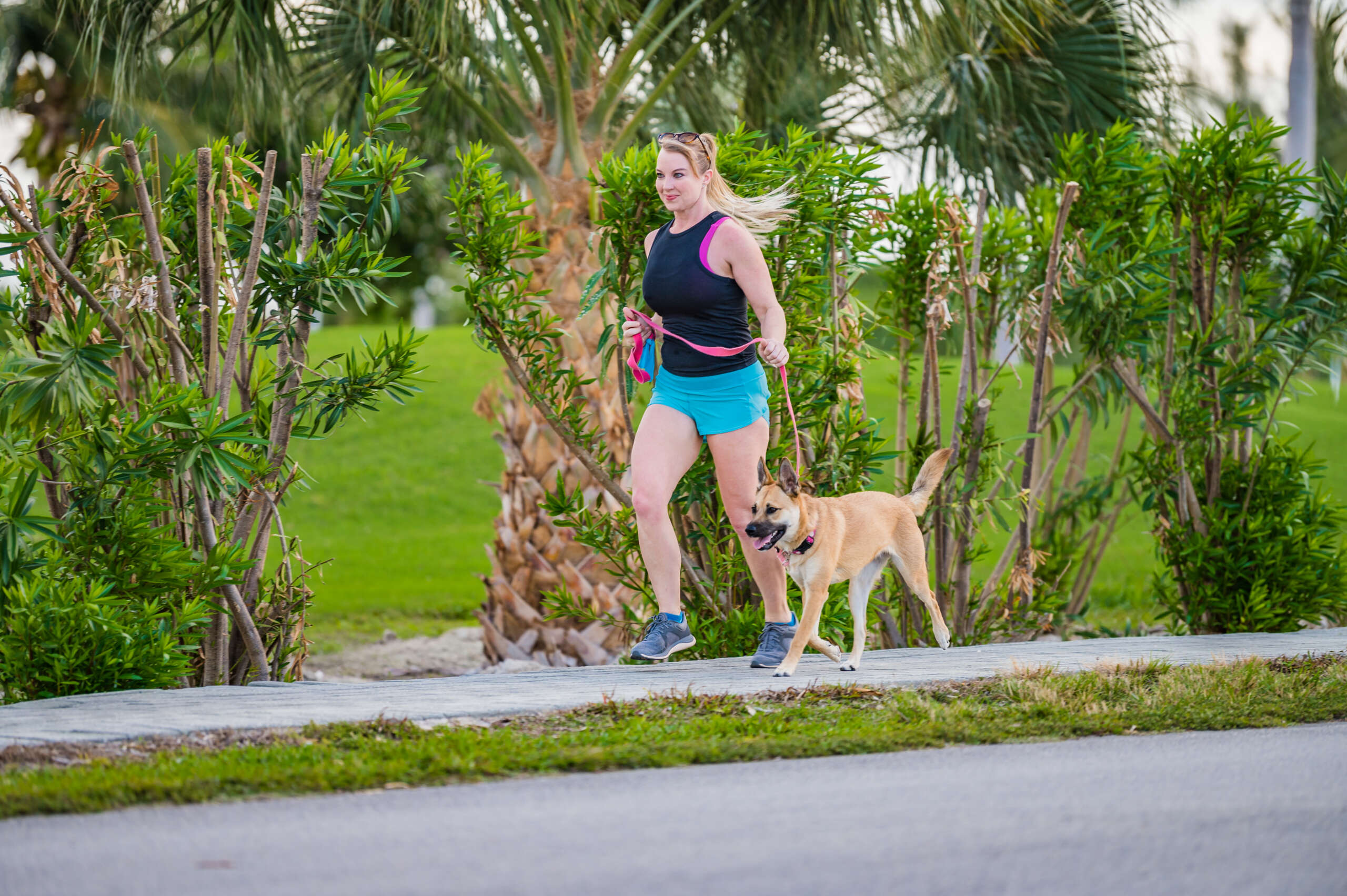 Photos One Dog Jog raises funds for charity's vet bills Cayman Compass