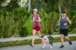 Photos | One Dog Jog raises funds for charity’s vet bills
