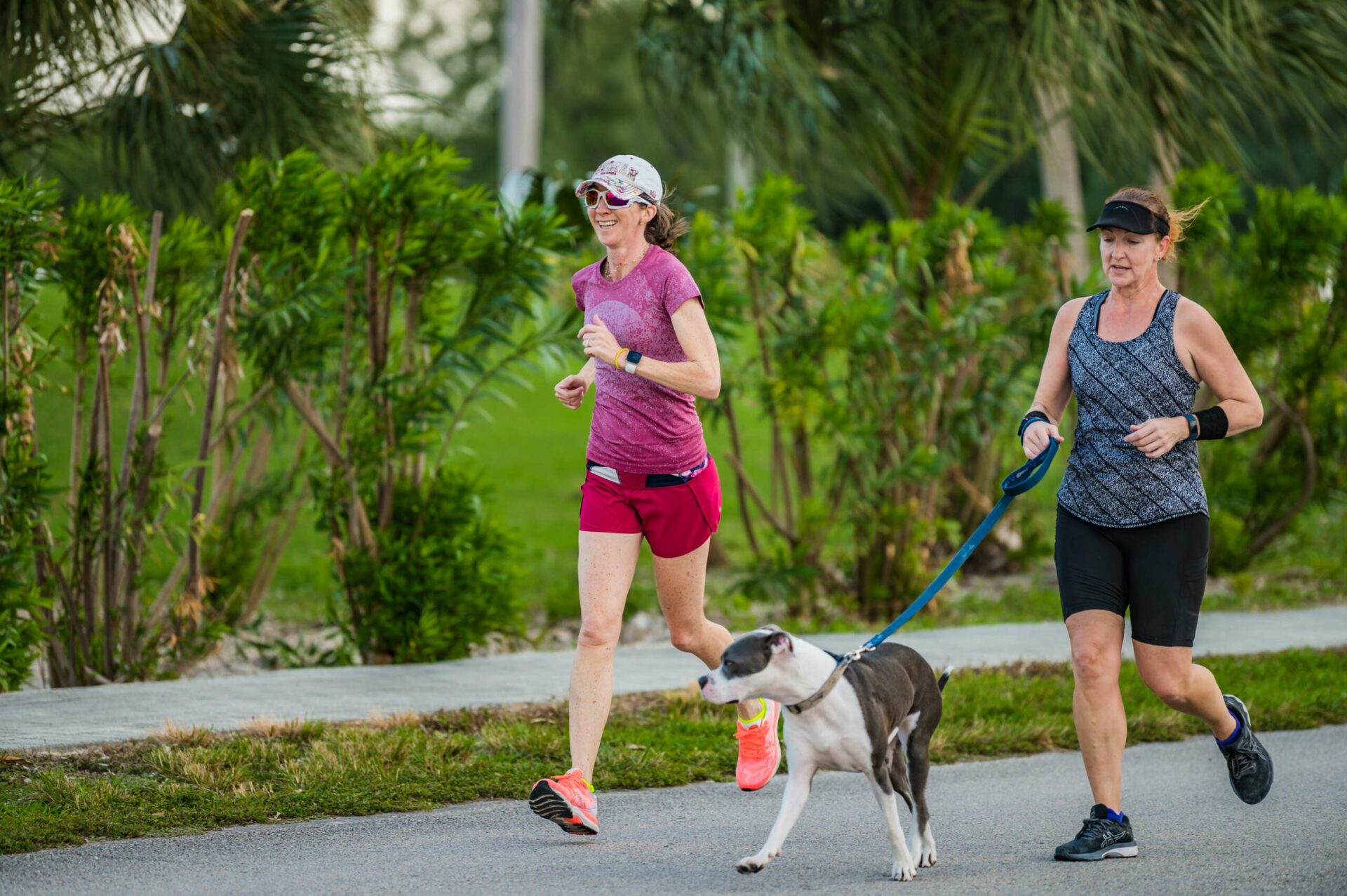 Photos One Dog Jog raises funds for charity's vet bills Cayman Compass