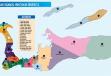 Review of Cayman’s electoral boundaries to begin