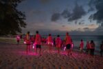 ‘Light Up the Night’ registration begins