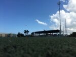Installation of field floodlights to be finished by March