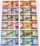 CIMA asks public for input on banknote redesign