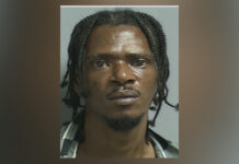 Arrested fugitive Marcus Manderson bitten by police dog
