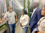 Cayman ‘container farm’ could be transplanted to Turks and Caicos
