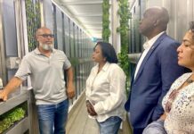 Cayman ‘container farm’ could be transplanted to Turks and Caicos