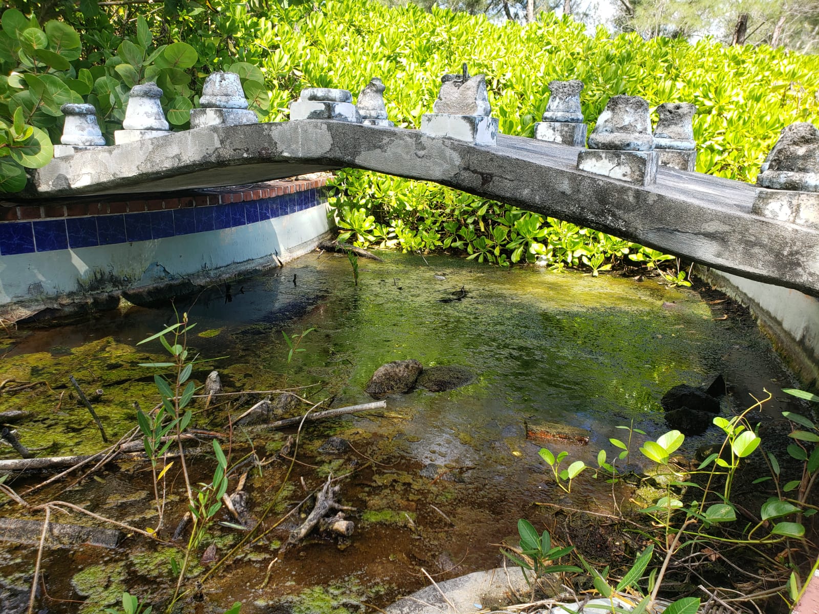 Government buys hurricanehit site for 'wellness park' Cayman Compass