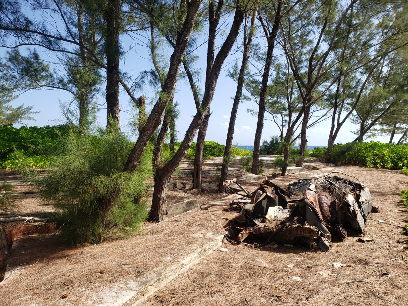 Government buys hurricanehit site for 'wellness park' Cayman Compass