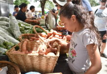 Rain fails to dampen Brac Agri show excitement
