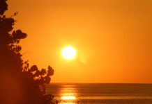 Potential ‘super El Niño’ points to hotter, drier rainy season for Cayman