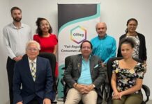 OfReg’s new Consumer Council chairman quits over autonomy row