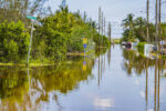 King tides flooding low-lying areas