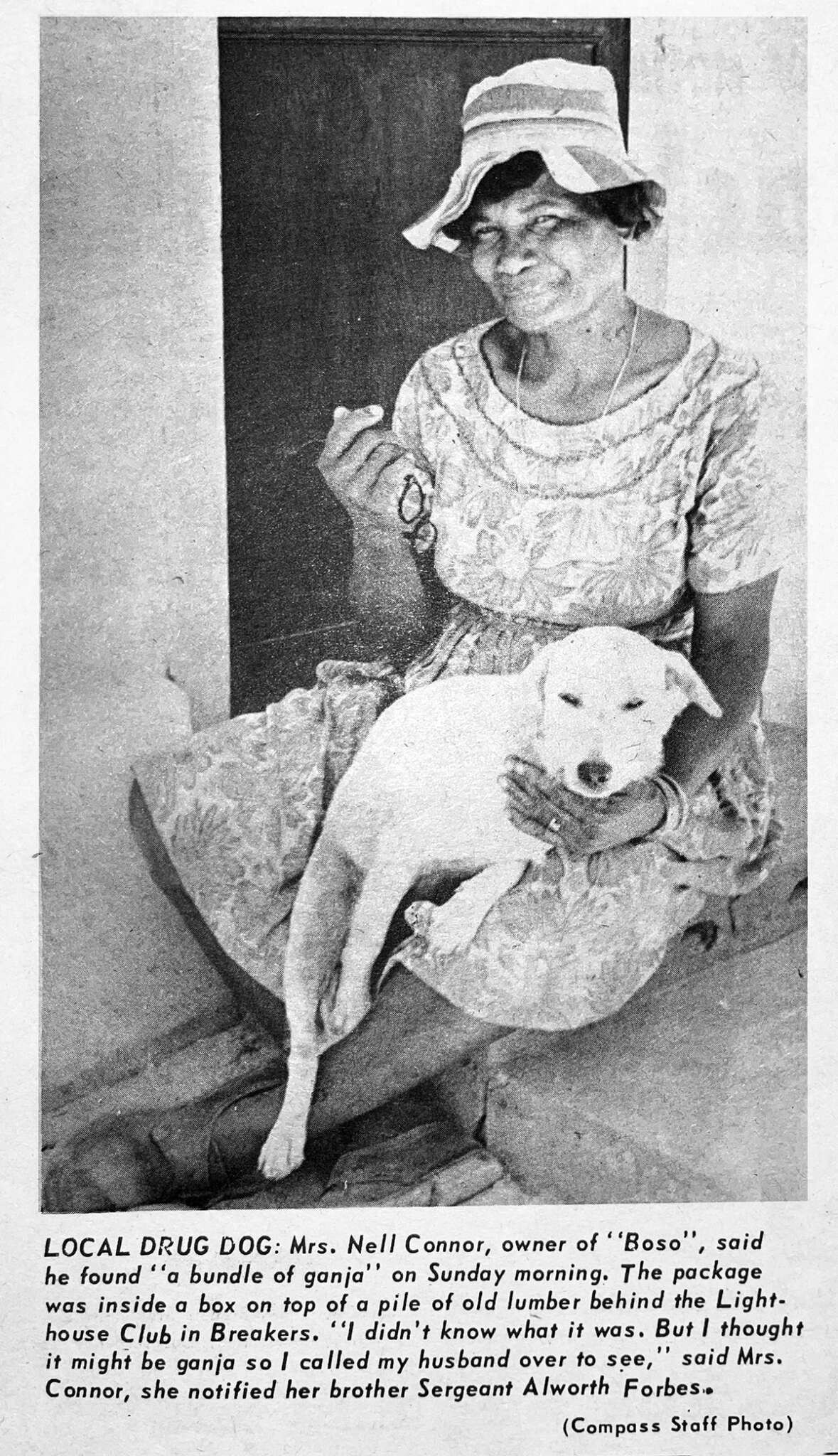 Local Drug Dog Cayman Compass