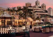 Discover Cayman’s new culinary offerings