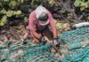 Couple removes giant fishing net from Little Cayman beach
