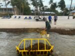 South Florida company offers ‘aquatic tractor’ as sargassum solution