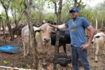 Cayman Brac’s Paradise Farms keeps family tradition alive